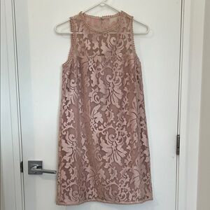 Ann Taylor Blush Pink Lace Overlay Sleeveless Dress